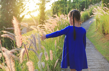 Back view Asian little kid girl using hand to touching wild grass at sunset.