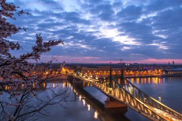 Naklejka na ściany i meble Freedom bridge Budapest