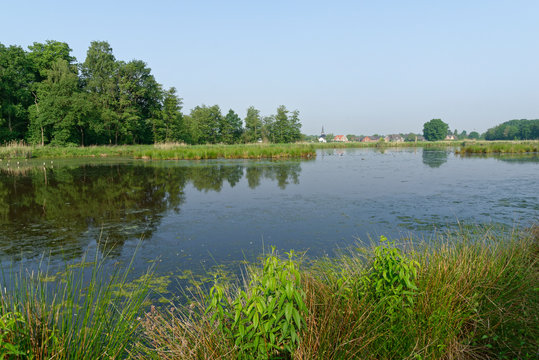 im Naturschutzgebiet Schwalm-Nette