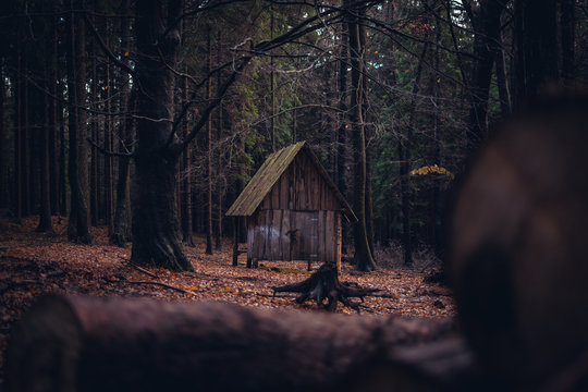Verlassene Hütte in Wald im Herbst