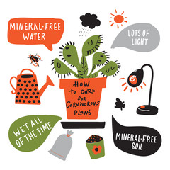 How to grow carnivorous plant. Funny hand drawn infographic poster about venus flytrap. Vector design.