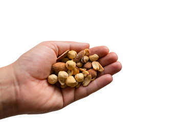 A hand holding a wide variety of nuts and seeds with isolated white backgrounds