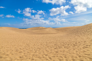 Fototapeta na wymiar Maspalomas Las Dunas El Oasis, Natural Sand Dunes Reserve in Gra