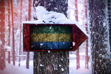 The Gabon flag attached to the tree as a sign.