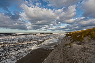 Fototapeta na wymiar High tide on the Baltic coast (Darss peninsula)