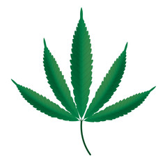 Cannabis leaf icon. Vector.