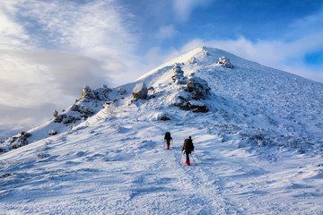 Naklejka na ściany i meble Hikers walking in snowy winter mountains at sun day in Carpathians, Chernogora, Ukraine