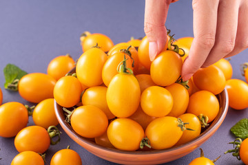 Fresh cherry tomatoes in a wooden bowl with a young woman is picking them with hand isolated on a blue background, close up, copy space