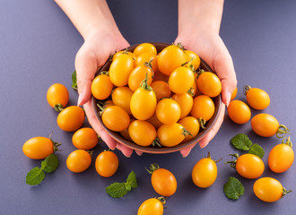 Fresh cherry tomatoes in a wooden bowl with a young woman is picking them with hand isolated on a blue background, close up, copy space