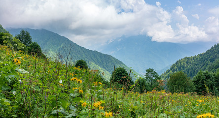 View of the valley surrounded by green mountains in a cloudy sky
