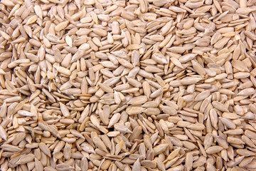 sunflower seed in bowl
