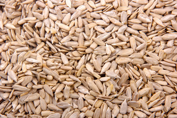 sunflower seed in bowl