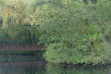 Obraz premium Wald am Wasser