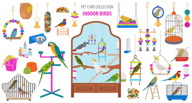 Pet appliance icon set flat style isolated on white. Birds care collection. Create own infographic about parrot, parakeet, canary, thrush, finch, jay bird, starling, amadina, siskin,  toucan, bunting