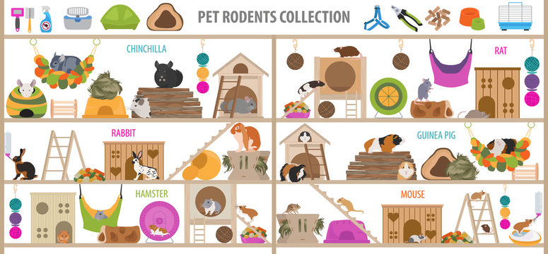 Pet rodents home accessories icon set flat style isolated on white. Healthcare collection. Create own infographic about guinea pig, rat, hamster, chinchilla, mouse, rabbit