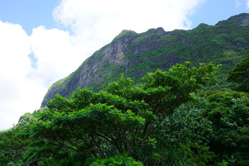 Obraz premium Landscape view overlooking Cook and Opunohu Bays in the island and lagoon of Moorea near Tahiti in French Polynesia, South Pacific, seen from the picturesque Belvedere Lookout