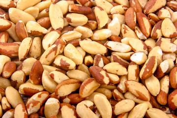 brazil nuts