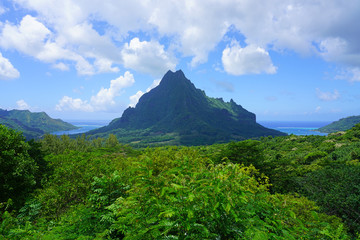 Landscape view overlooking Cook and Opunohu Bays in the island and lagoon of Moorea near Tahiti in...