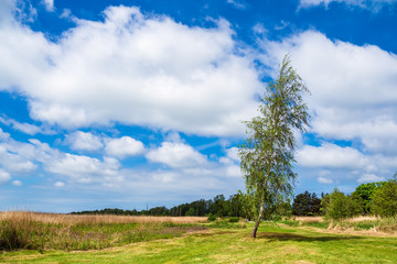 Landschaft am Bodden auf dem Fischland-Darß in Wieck