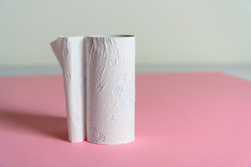 A blank paper toilet roll on a pink background.