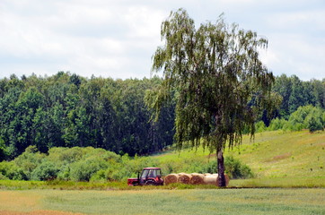 Fototapeta premium Tractor in the field, Mazurian region in Poland