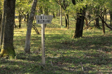 Trail road of Mountain Fuji in Japan