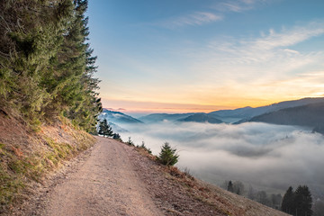 Unterwegs auf und um den Belchen im Südschwarzwald