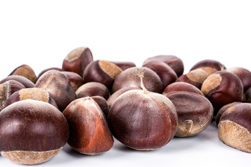 Chestnut on a white background