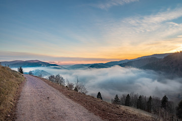 Unterwegs auf und um den Belchen im Südschwarzwald