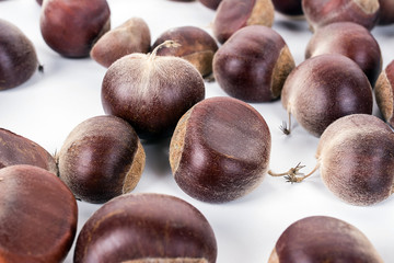 Obraz premium Chestnut on a white background