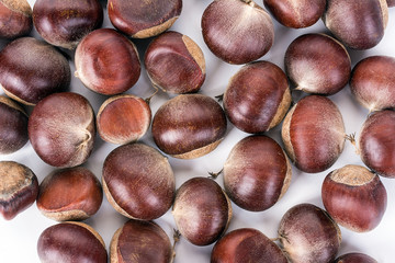 Chestnut on a white background