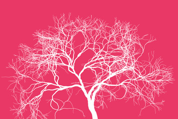 Leafless tree silhouette. Fine detailed realistic illustration. Isolated design element.