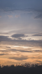 Fototapeta na wymiar Clouds on sunset sky over trees line