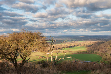 Beautiful Autumn Fall landscape of South Downs National Park in English countryside in late afternoon light