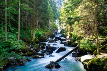 waterfall landscape forest in trentino with dolomiti mountain