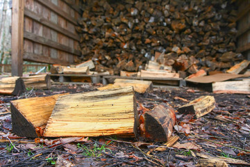 Fire Wood