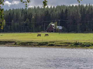 Fototapeta premium village, summer landscape in Finland ,Oulu