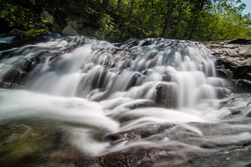 Falls in the forest. Summer. The river in the forest.