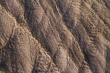 Salt texture in salt ponds