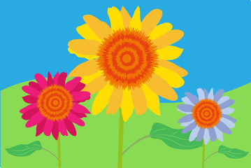 Flores de color amarillo rosa y azul.