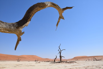 Namibia