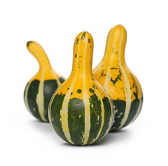 Decorative gourd yellow green isolated on white background