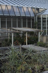 Fototapeta premium botanical garden vienna