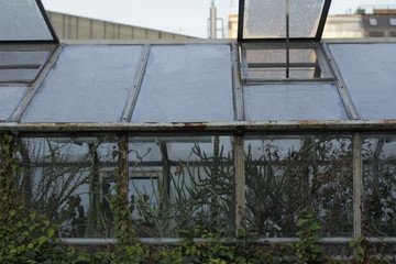 Obraz premium botanical garden vienna