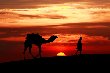 Fototapeta na wymiar Walking with camel through Thar Desert in India, Show silhouette and dramatic sky