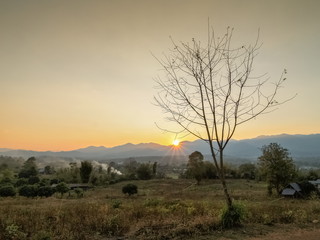 Fototapeta na wymiar Silhouette of Dry Tree with mountain and yellow sun light in the sky background, sunset at Pai, Mae Hong Son, northern of Thailand.