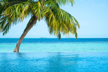 Fototapeta na wymiar Swimming pool near sea view and coconut tree on clear sky day.