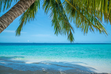 Wave of tropical sea beach on white sand with coconut leaf edge frame.