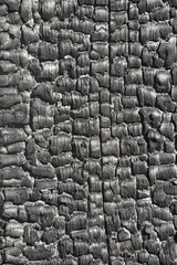 Surface wood burnt , texture coal, burn background.