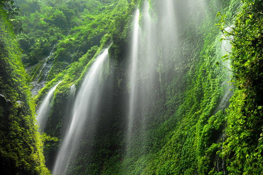 Madakaripura waterfall in nature place, east Java, Indosesia